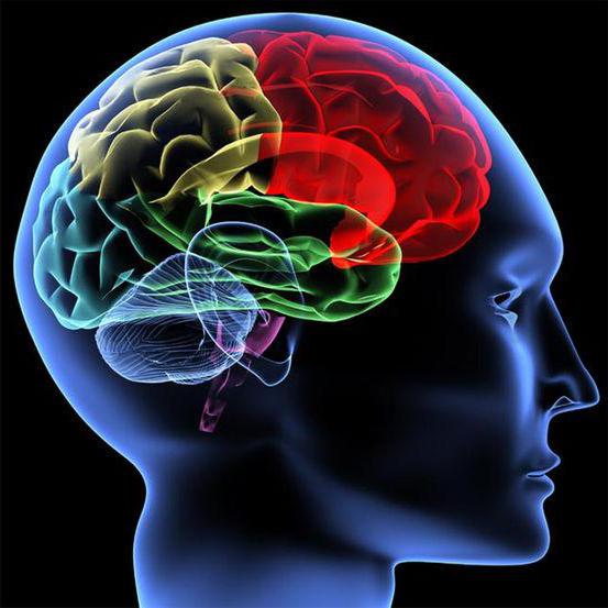 Sự thích nghi sinh lý của cơ thể trong bối cảnh xã hội thay đổi